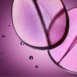 10 RELX 6th Generation Juicy Grape Single Units - Image 2